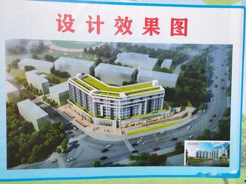 广元校园新爆料最新消息,揭秘校园热点事件背后的真相