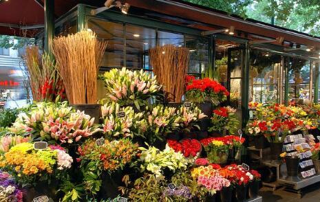 花店老板爆料视频大全,花店行业背后的惊人真相  第3张